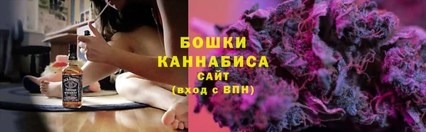 apvp Ельня