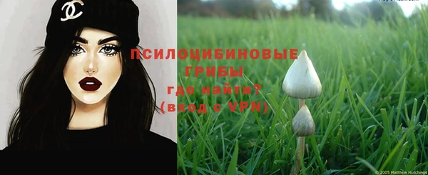 дурь Елизово