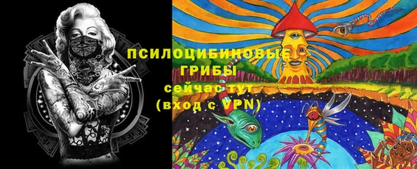 дурь Елизово