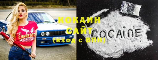 apvp Ельня