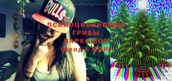 apvp Ельня