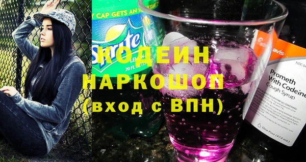 apvp Ельня