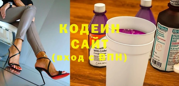 apvp Ельня