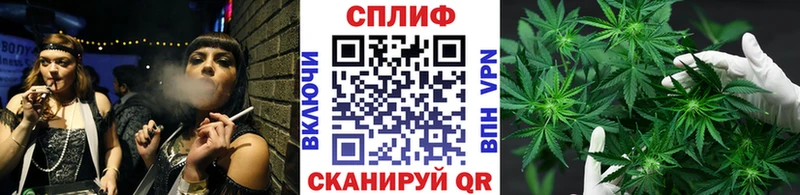 Бошки марихуана Amnesia  Купить  Кумертау 